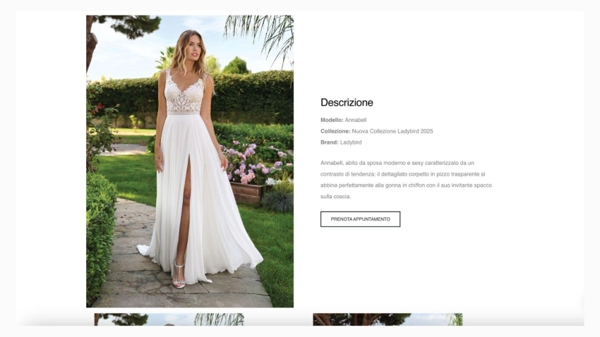 Diana Spose - Siti Web OrangePix