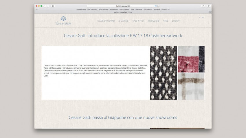 Lanificio Cesare Gatti - Siti Web OrangePix