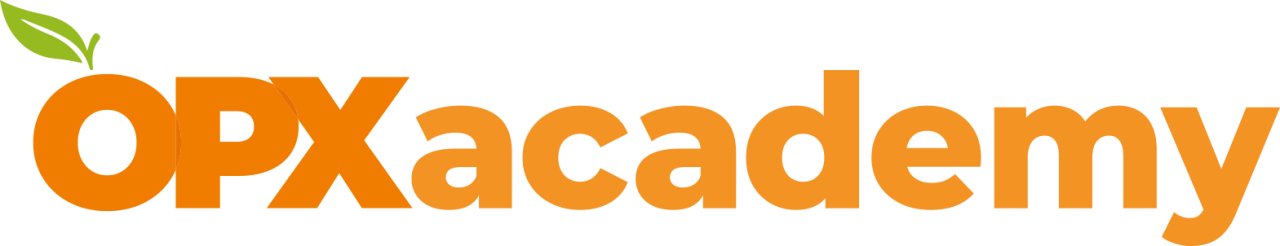 Logo academy