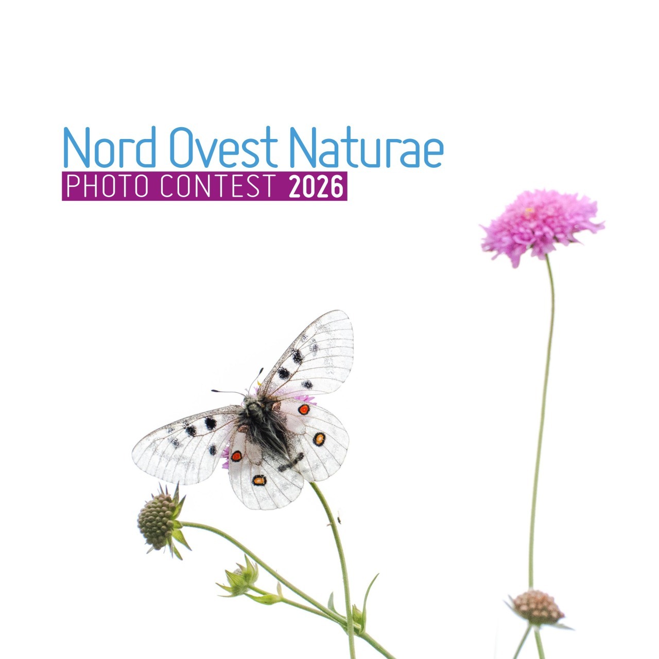 Premio + bellezza in Valle